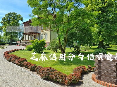 芝麻信用分与借呗逾期天数 芝麻信用分与借呗逾期天数