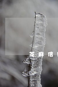 芝麻信用分有一万逾期会怎样 芝麻信用分有一万逾期会怎样