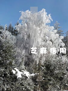 芝麻信用分有逾期 芝麻信用分有逾期