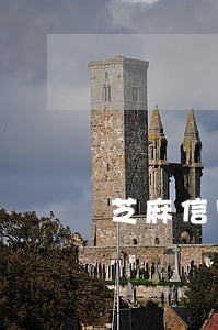 芝麻信用分有逾期后怎么提高