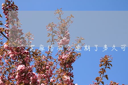 芝麻信用分逾期了多久可以恢复 芝麻信用分逾期了多久可以恢复
