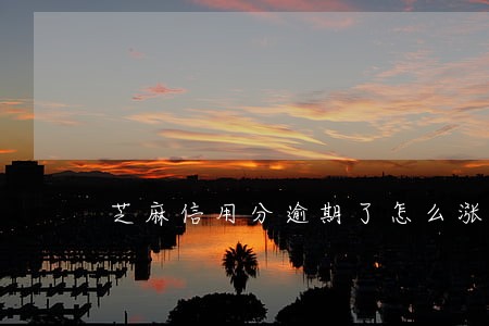 芝麻信用分逾期了怎么涨回来 芝麻信用分逾期了怎么涨回来