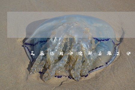 芝麻信用分逾期后涨2分 芝麻信用分逾期后涨2分