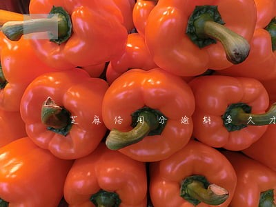 芝麻信用分逾期多久才能恢复 芝麻信用分逾期多久才能恢复