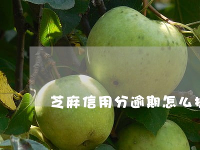 芝麻信用分逾期怎么提高 芝麻信用分逾期怎么提高