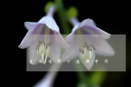 芝麻信用分逾期申诉