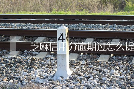芝麻信用分逾期过怎么提 芝麻信用分逾期过怎么提