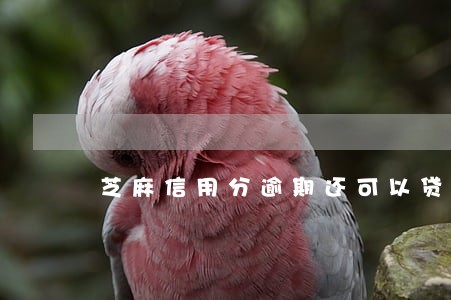 芝麻信用分逾期还可以贷款么 芝麻信用分逾期还可以贷款么