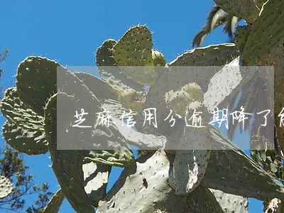 芝麻信用分逾期降了能升回来吗 芝麻信用分逾期降了能升回来吗