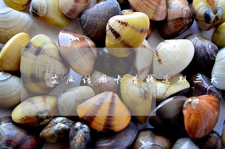 芝麻信用卡借钱逾期三天 芝麻信用卡借钱逾期三天