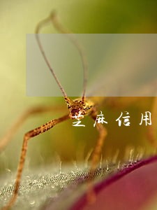 芝麻信用卡有逾期可以协商吗 芝麻信用卡有逾期可以协商吗