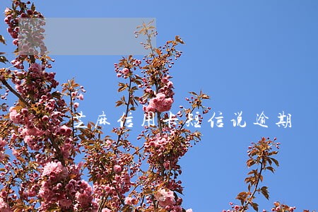 芝麻信用卡短信说逾期 芝麻信用卡短信说逾期