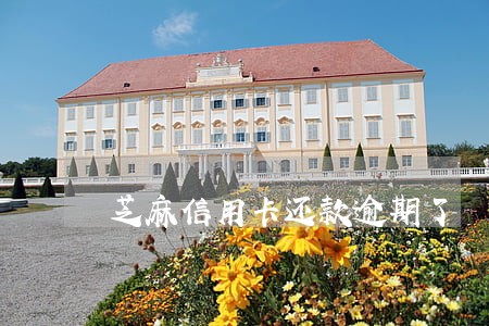 芝麻信用卡还款逾期了 芝麻信用卡还款逾期了