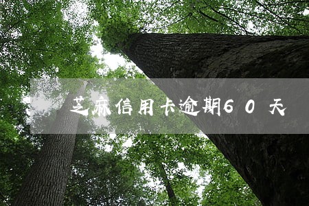 芝麻信用卡逾期60天