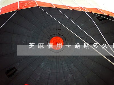 芝麻信用卡逾期多久上征信 芝麻信用卡逾期多久上征信