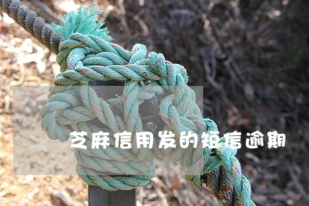 芝麻信用发的短信逾期 芝麻信用发的短信逾期