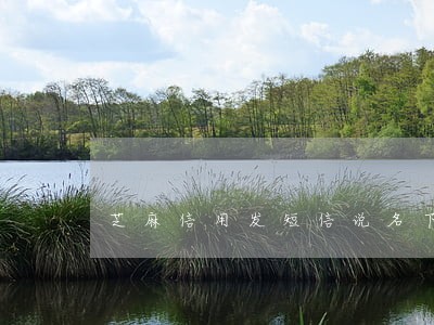 芝麻信用发短信说名下账户逾期 芝麻信用发短信说名下账户逾期
