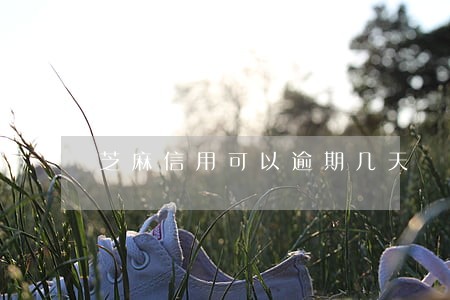 芝麻信用可以逾期几天 芝麻信用可以逾期几天