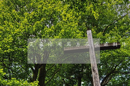 芝麻信用因为花呗逾期降低 芝麻信用因为花呗逾期降低
