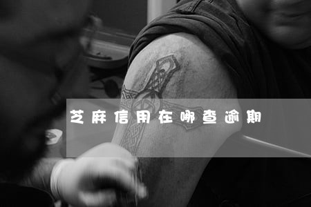 芝麻信用在哪查逾期 芝麻信用在哪查逾期