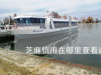 芝麻信用在哪里查看逾期 芝麻信用在哪里查看逾期