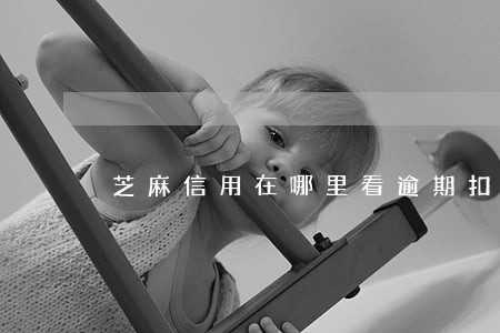 芝麻信用在哪里看逾期扣了多少分 芝麻信用在哪里看逾期扣了多少分