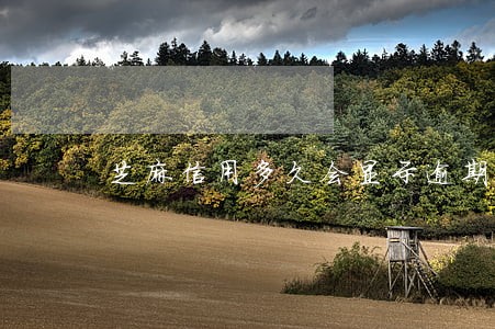 芝麻信用多久会显示逾期 芝麻信用多久会显示逾期