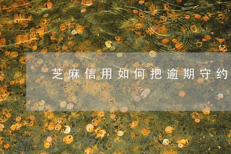 芝麻信用如何把逾期守约消掉