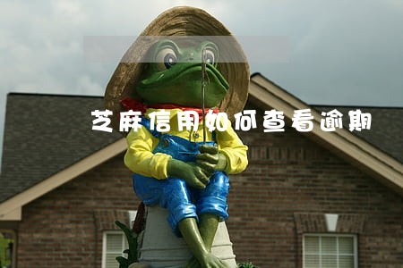 芝麻信用如何查看逾期 芝麻信用如何查看逾期