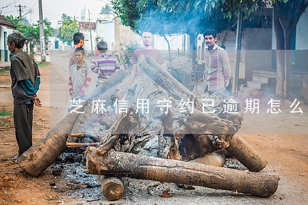 芝麻信用守约已逾期怎么处理 芝麻信用守约已逾期怎么处理