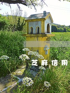 芝麻信用对逾期记录怎么处理 芝麻信用对逾期记录怎么处理