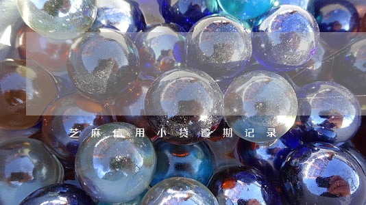 芝麻信用小贷逾期记录 芝麻信用小贷逾期记录