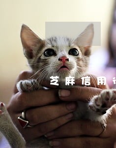 芝麻信用待守约已逾期