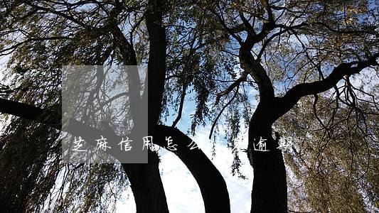 芝麻信用怎么修复逾期