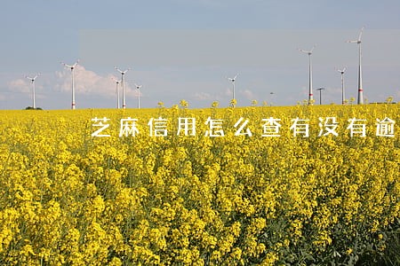 芝麻信用怎么查有没有逾期 芝麻信用怎么查有没有逾期