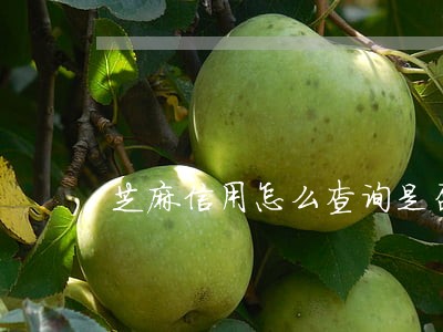 芝麻信用怎么查询是否逾期 芝麻信用怎么查询是否逾期