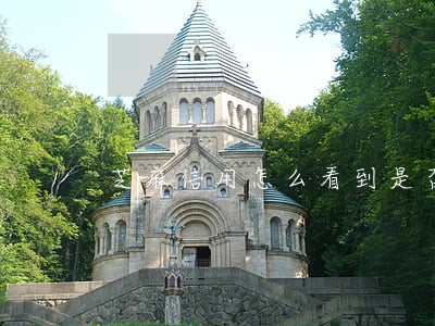 芝麻信用怎么看到是否逾期