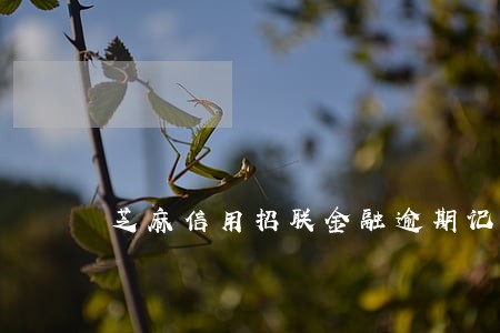芝麻信用招联金融逾期记录 芝麻信用招联金融逾期记录
