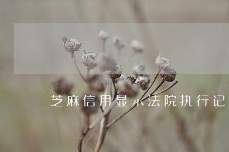 芝麻信用显示法院执行记录未履行