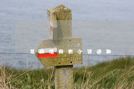 芝麻信用有小贷逾期 芝麻信用有小贷逾期