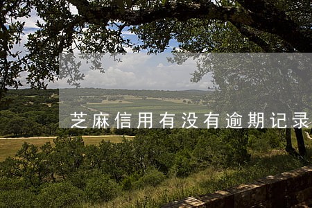 芝麻信用有没有逾期记录 芝麻信用有没有逾期记录