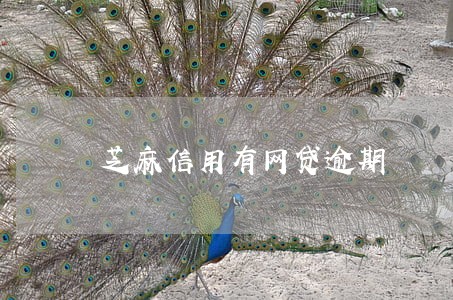 芝麻信用有网贷逾期 芝麻信用有网贷逾期