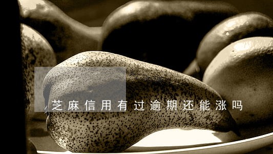 芝麻信用有过逾期还能涨吗 芝麻信用有过逾期还能涨吗