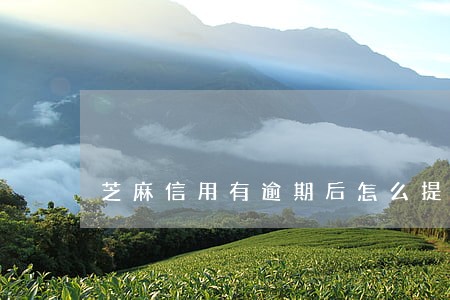 芝麻信用有逾期后怎么提高 芝麻信用有逾期后怎么提高