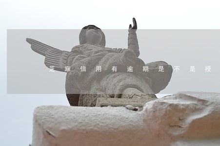 芝麻信用有逾期是不是授权不了 芝麻信用有逾期是不是授权不了