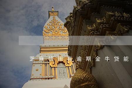芝麻信用有逾期金牛贷能过吗 芝麻信用有逾期金牛贷能过吗