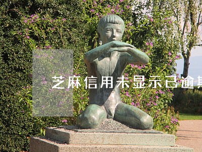 芝麻信用未显示已逾期 芝麻信用未显示已逾期