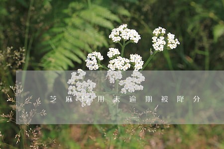 芝麻信用未逾期被降分 芝麻信用未逾期被降分