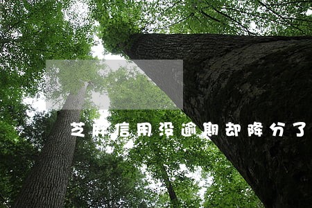 芝麻信用没逾期却降分了 芝麻信用没逾期却降分了