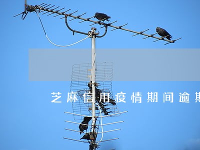 芝麻信用疫情期间逾期 芝麻信用疫情期间逾期